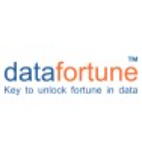 Datafortune INC 