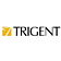 Trigent Software