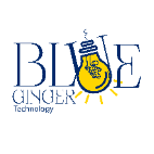 Blue Ginger Technology