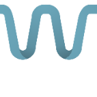 Wisertech solution