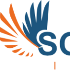 Softwingz infotech