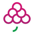 GrapesTech Solutions 