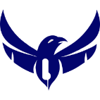Oriole Security