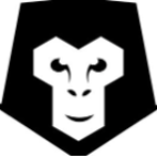 Snow Monkey