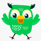 LoudOwls Solutions Pvt Ltd