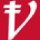 Viganium Software Company