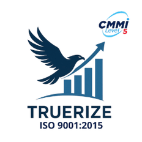 Truerize IQ Strategic Solutions 