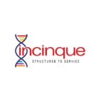 Incinque Business Solutions