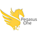 Pegasus One