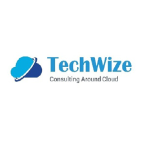 TechWize