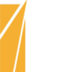 Trigent Software inc
