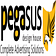Pegasus Design - Your Complete Digital Solution