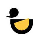 Duck Design