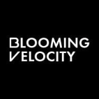 Blooming Velocity