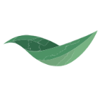 Wan Kee Information Technology