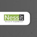 Nessit 