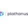 Plathanus