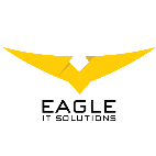 Eagle IT Solutions Profile & Reviews - Techreviewer