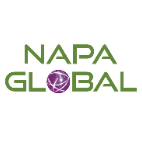 NAPA Global - IT Services and Consulting