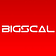 Bigscal Technologies Pvt. Ltd.