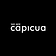 Capicua Full Stack Creative Hub