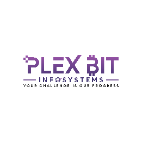 Plex Bit Infosystems