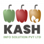 Kash Info Solutions 