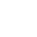 Express Web Pro