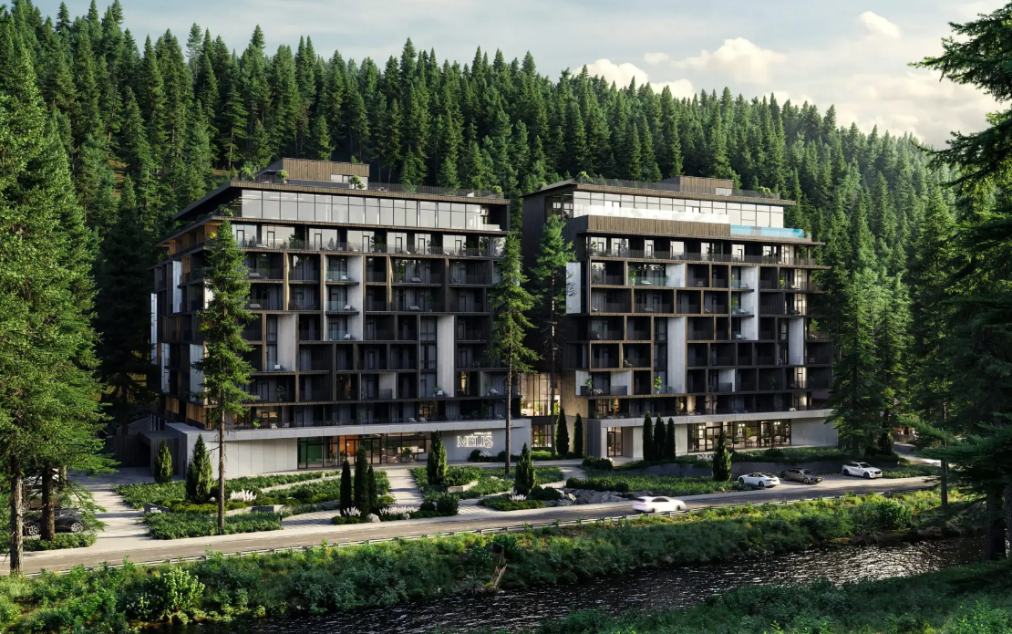 WebFlow Design and Development for Numo