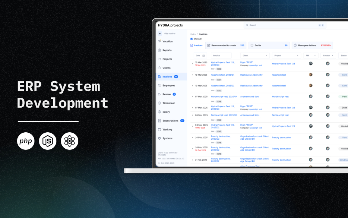 ERP System Development