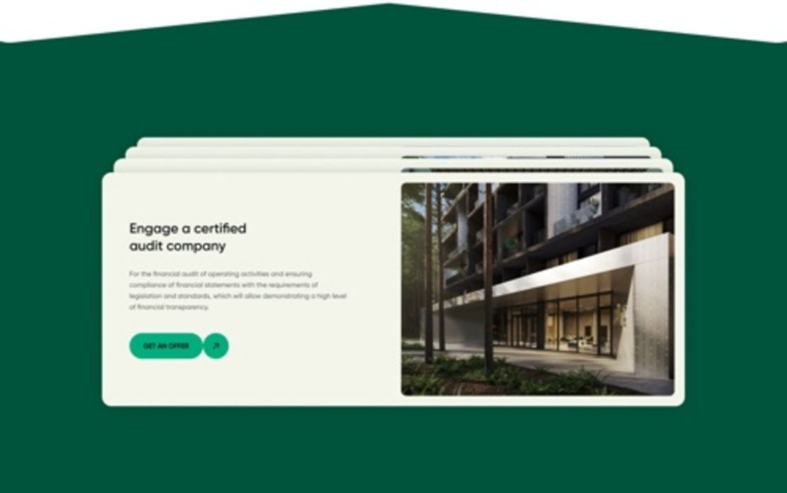 Promotional Website for Melis