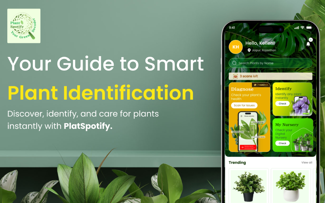 Plant Spotify - AI-Powered Plant Identification
