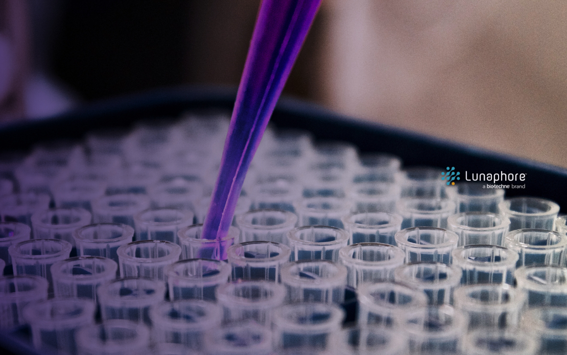 Testing Process Setup for the Cancer Research Software