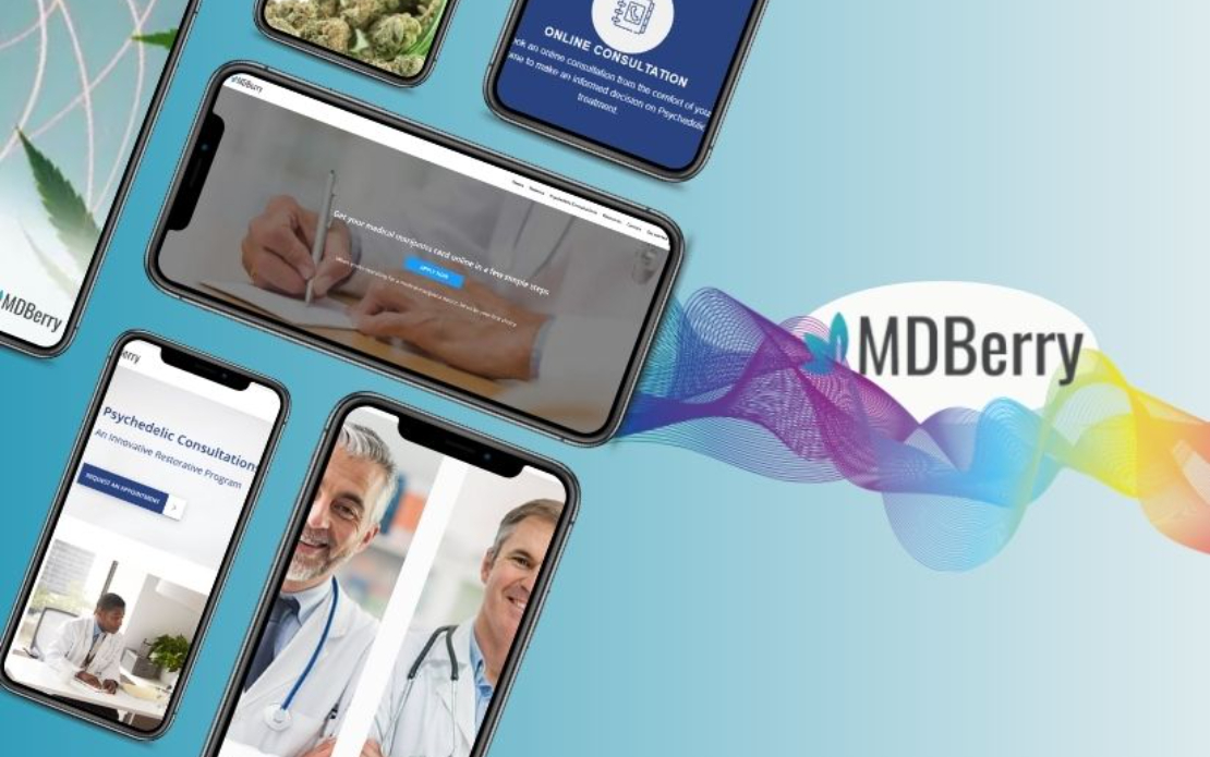 Custom Healthcare CRM System for MDBerry