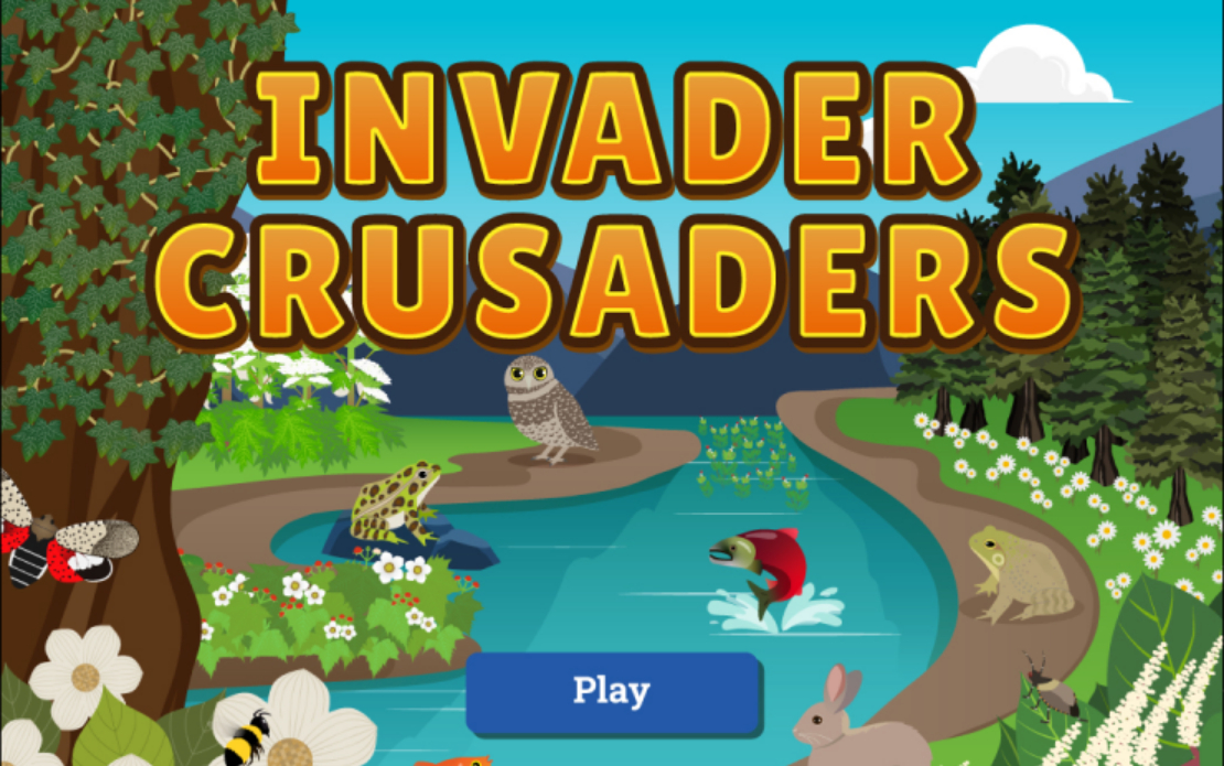 Invader Crusaders