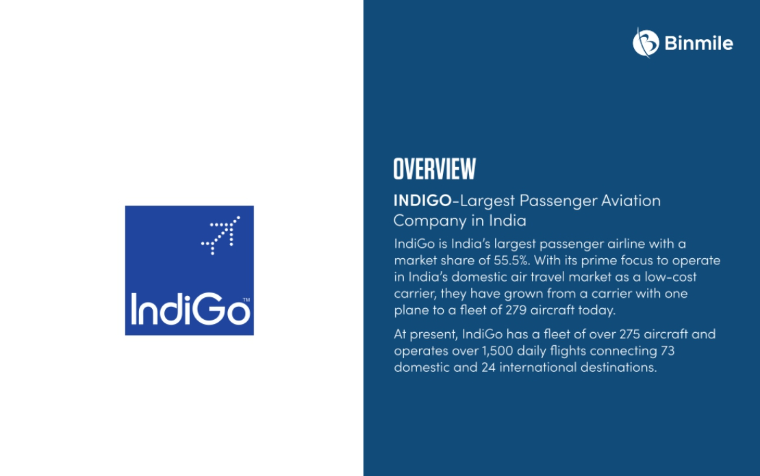 Helped India’s Largest Passenger Aviation Company to Improve its Applications’ Accessibility by 80%