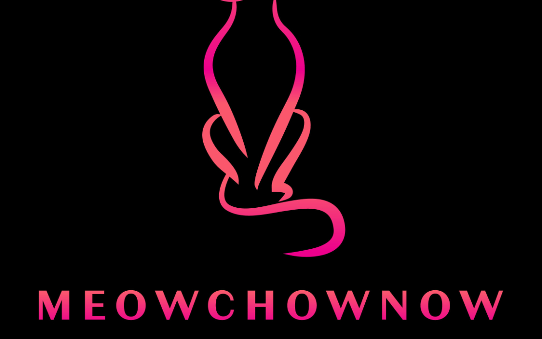 MeowChowNow
