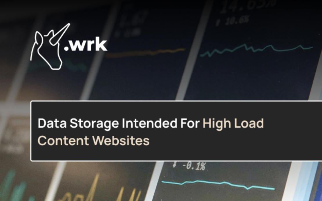 HIMSS: Data Storage Intended For High Load Content Websites