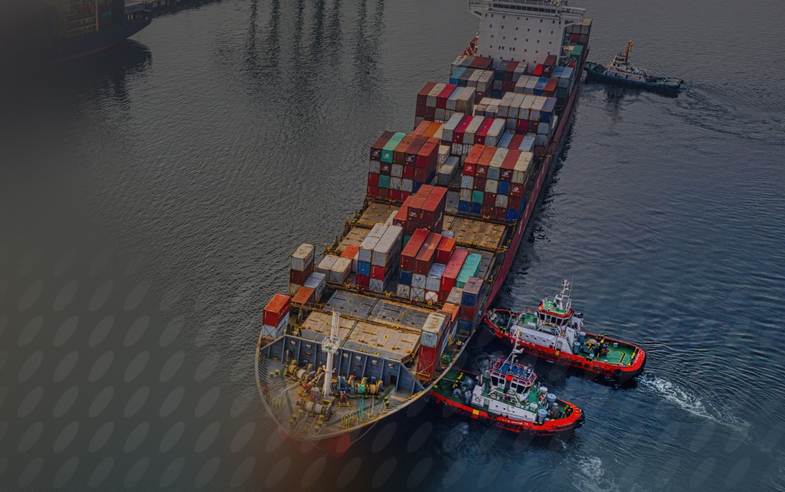 SAP Yard Logistics Implementation for a Large Port in Europe