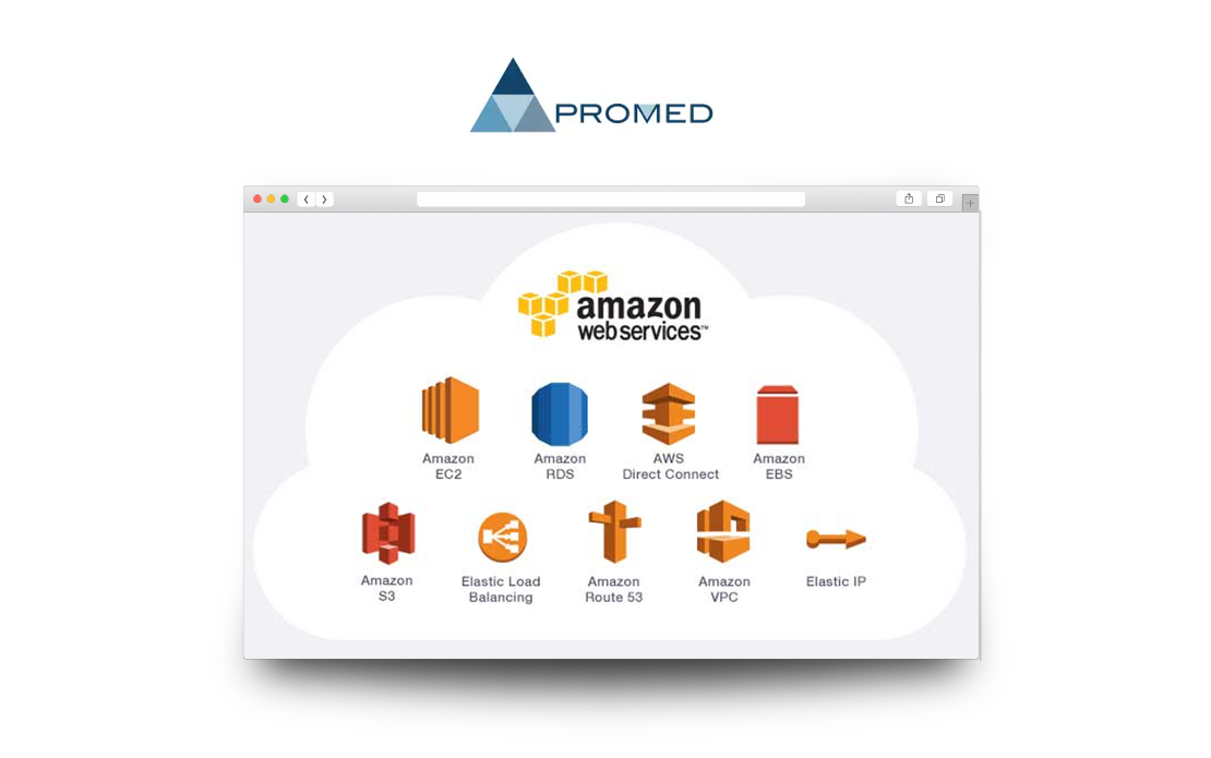ERP platform integration with Shopify for Promed