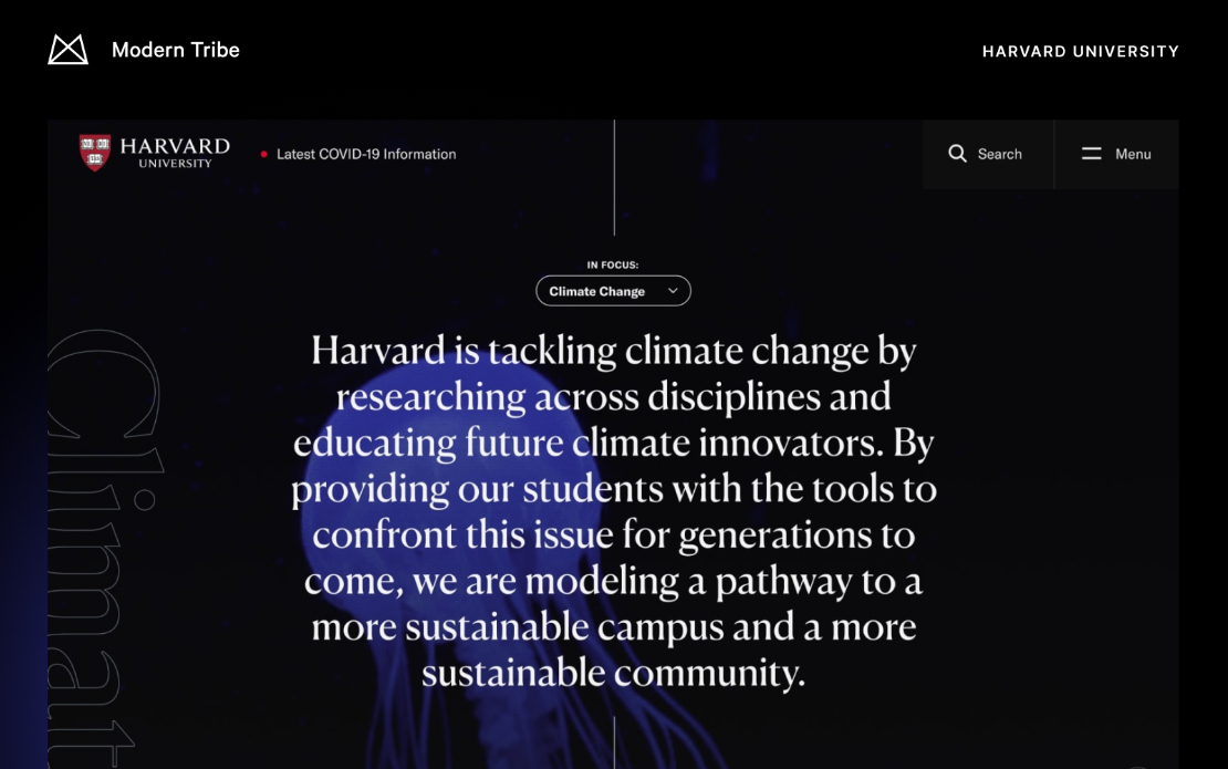 Harvard University website redesign