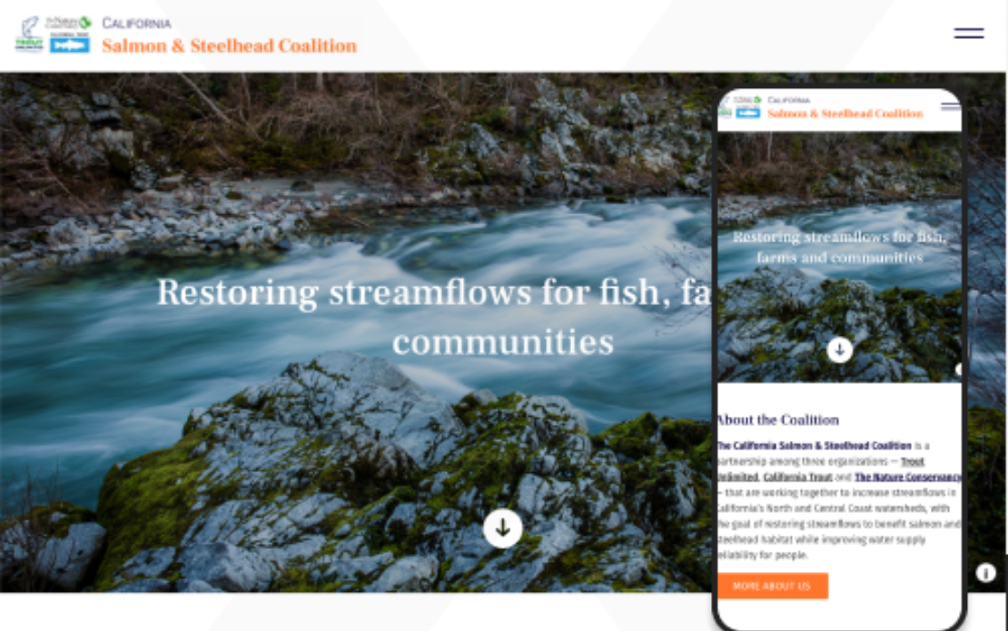 Website redesign & relaunch for a Nature Conservancy project - The California Salmon & Steelhead Coalition