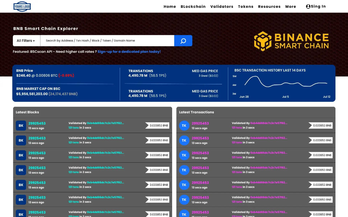 Binance Smart Chain Development