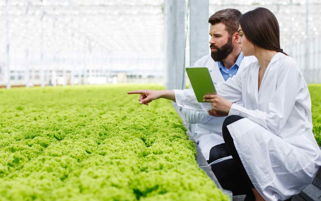 Growers