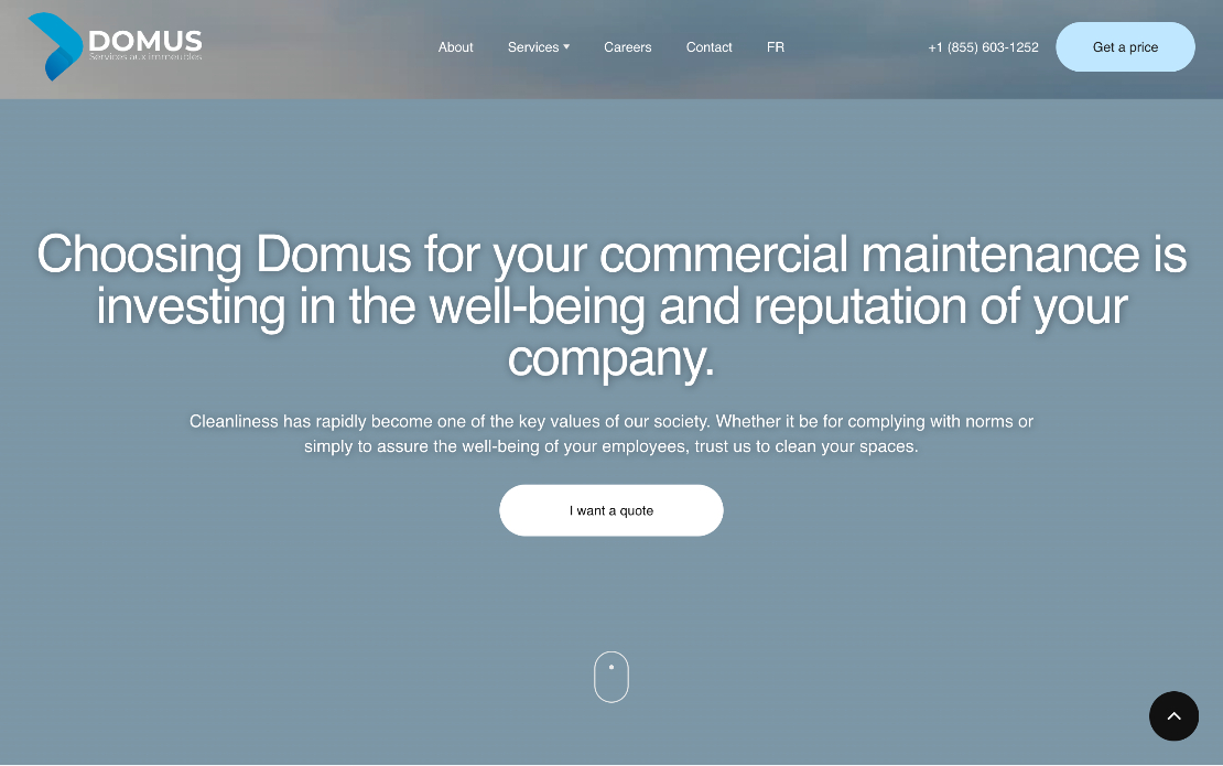 Domus Group