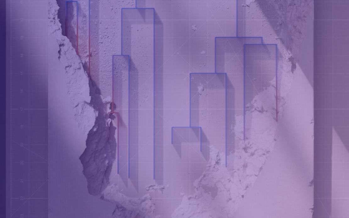 Data Exploration