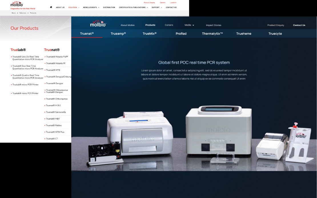 Molbio Diagnostics