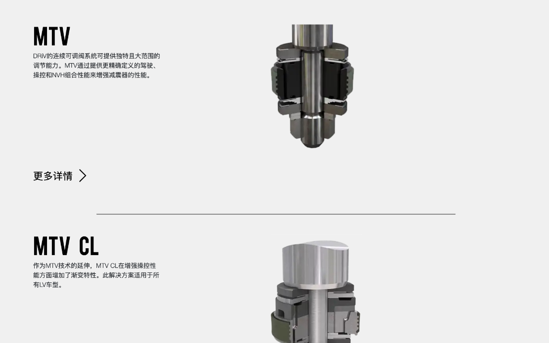 Monroe OE Solutions (China) Website