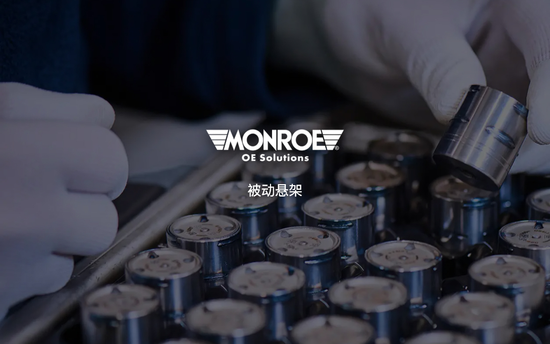Monroe OE Solutions (China) Website