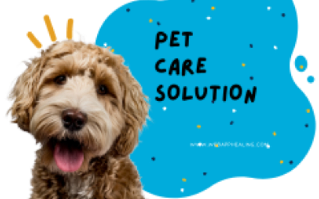 Pet Care Solution